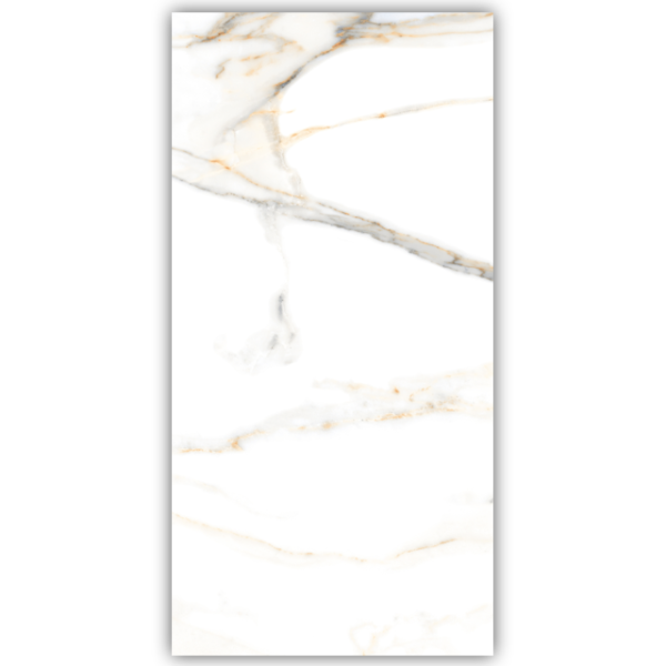 CARRARA-VENICE-60X120.png