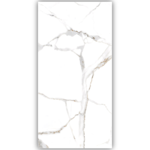 Πλακάκι CALACATA CENTURY 60x120