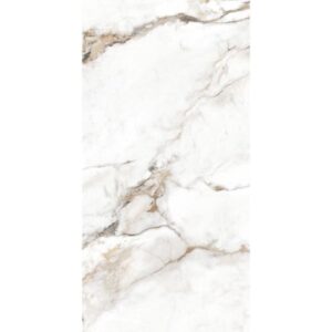 Πλακάκι GLISTER PAONAZZO 60x120