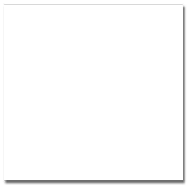 neo-blanco-60x60_1k1g-ek.jpg