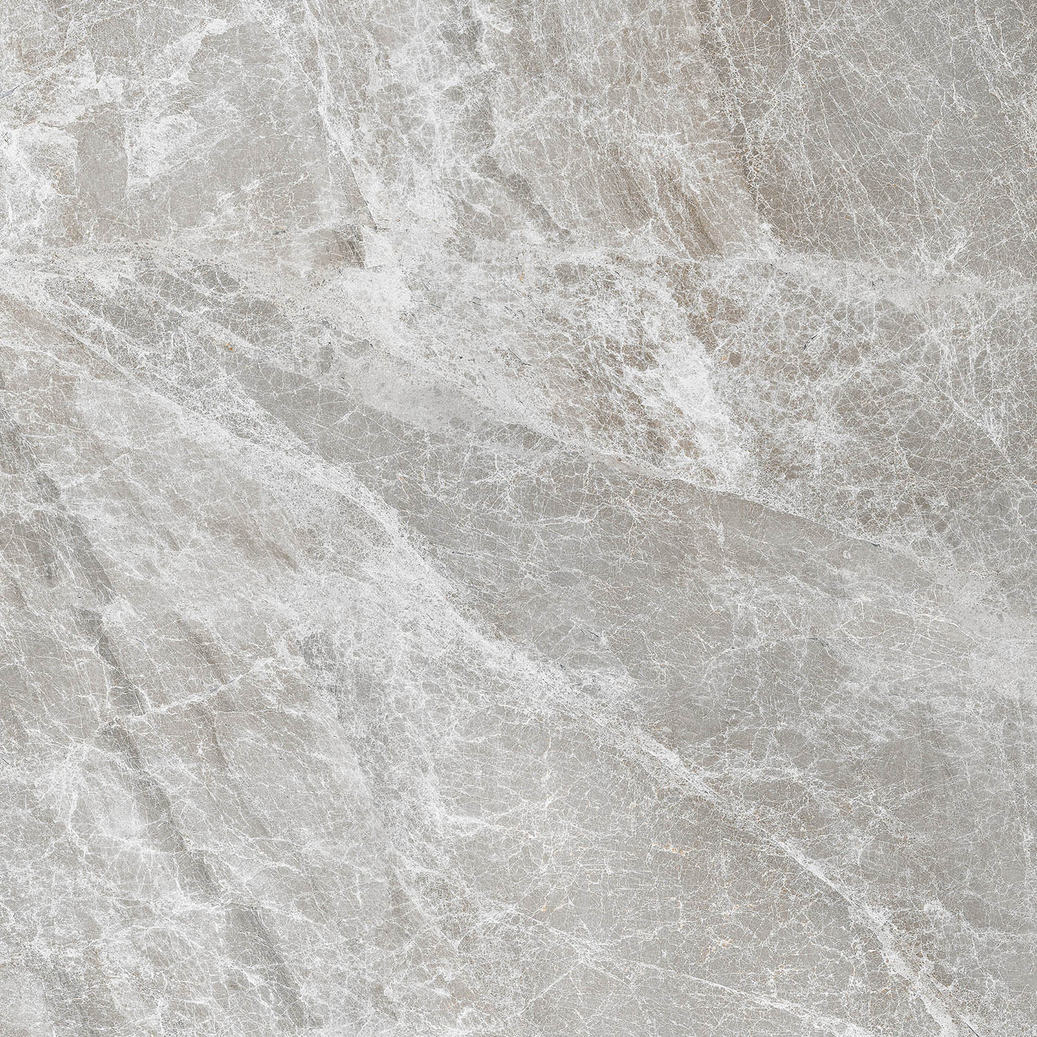 Πλακάκι FOCUS LIGHT GREY 60×60