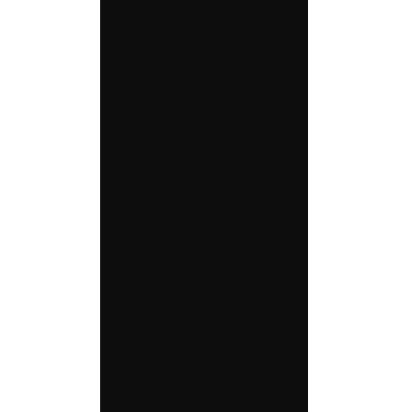 Πλακάκι μαύρο NEGRO NATURAL 60x120